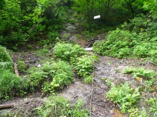 沢を渡ってすぐロープと鉄杭で登る急な岩場になります